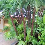 Welcoming House With Mountain View In Dom wakacyjny