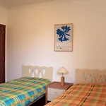Welcoming House With Mountain View In